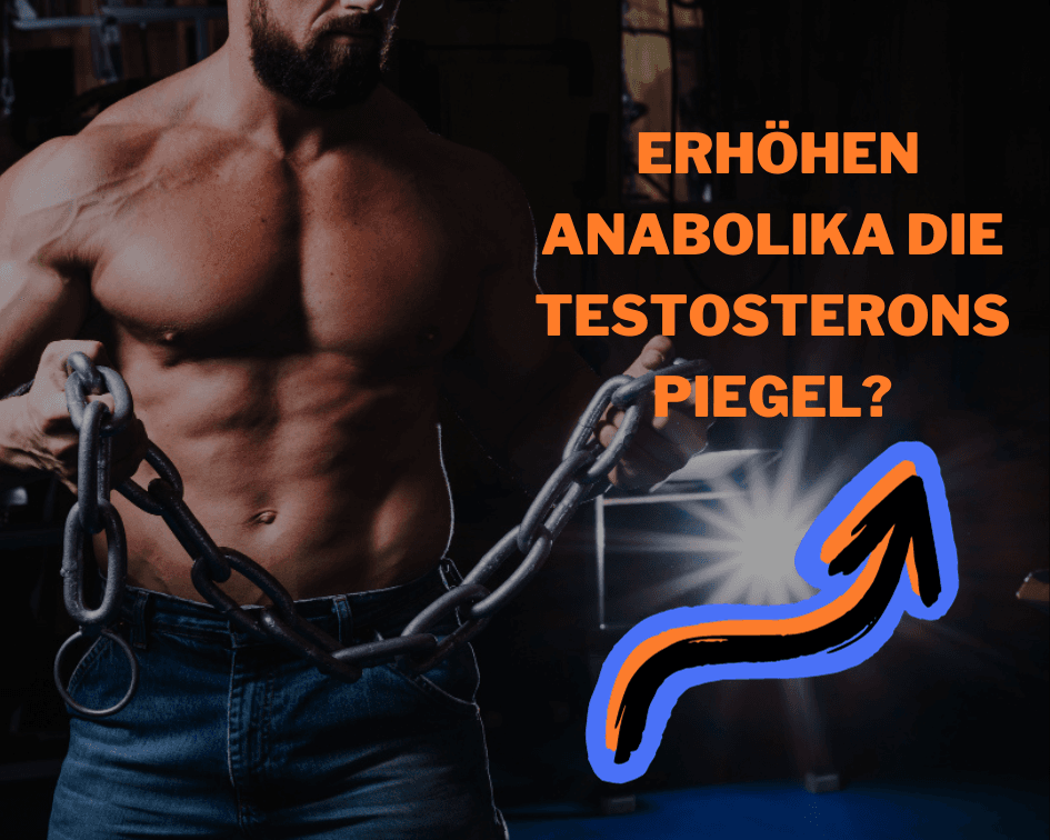 Erhöhen Anabolika die Testosteronspiegel?.png