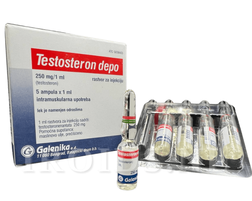 Testosteron depo Testosterone Enanthate 1ml x 5 amps (250mg)