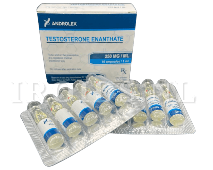 Androlex Testosterone Enanthate 1ml x 10 amp (250mg)
